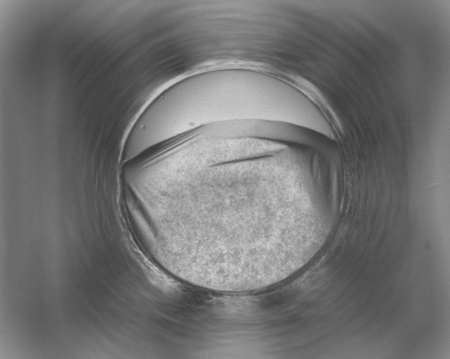 X0000061141244200512022238