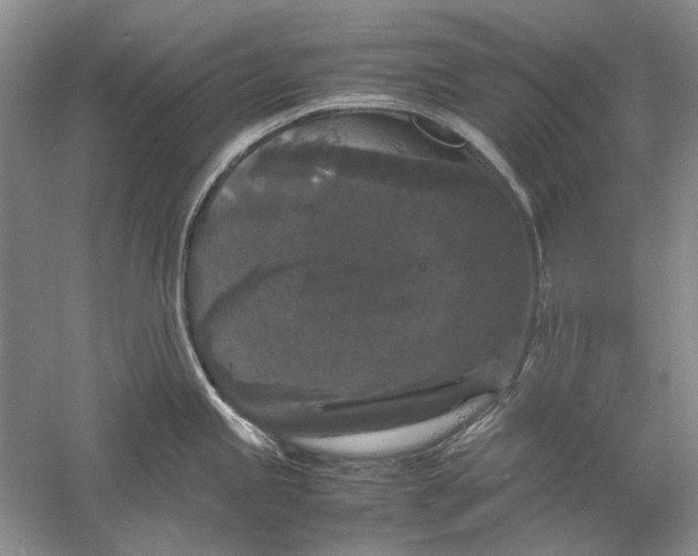 X0000061141245200512022238