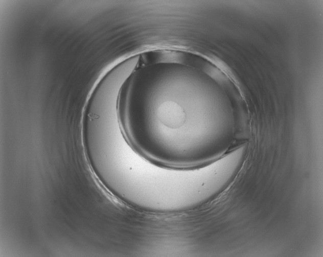 X0000061141246200512022239