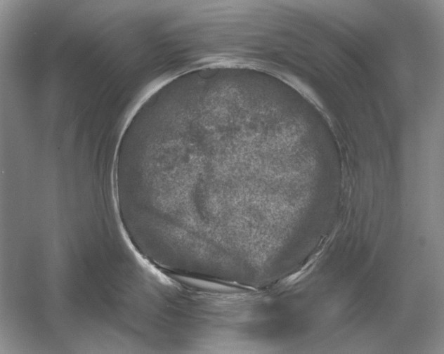 X0000061141247200512022239