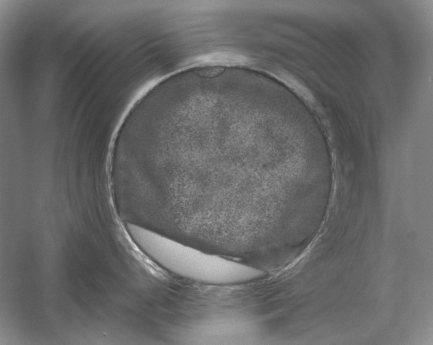 X0000061141248200512022239