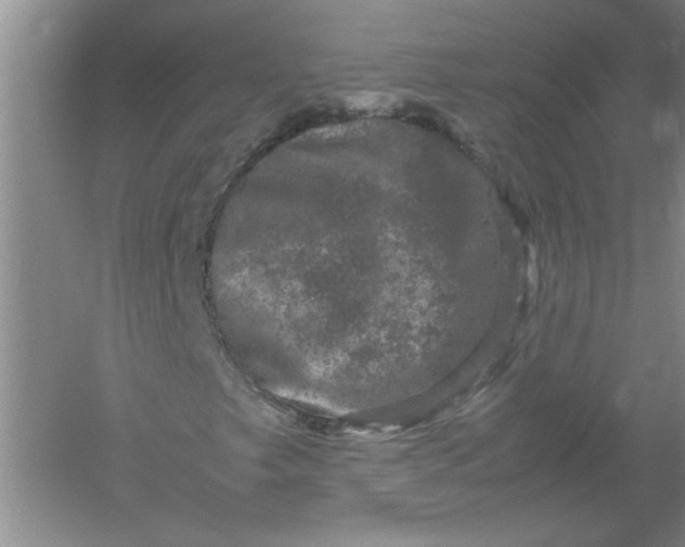 X0000061141249200512022238