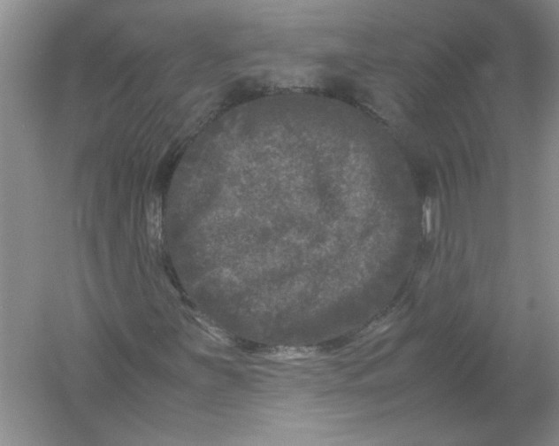 X0000061141251200512022238