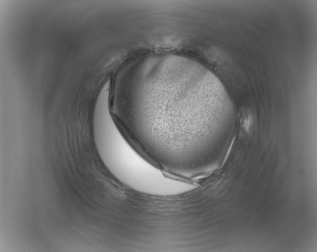 X0000061141252200512022238