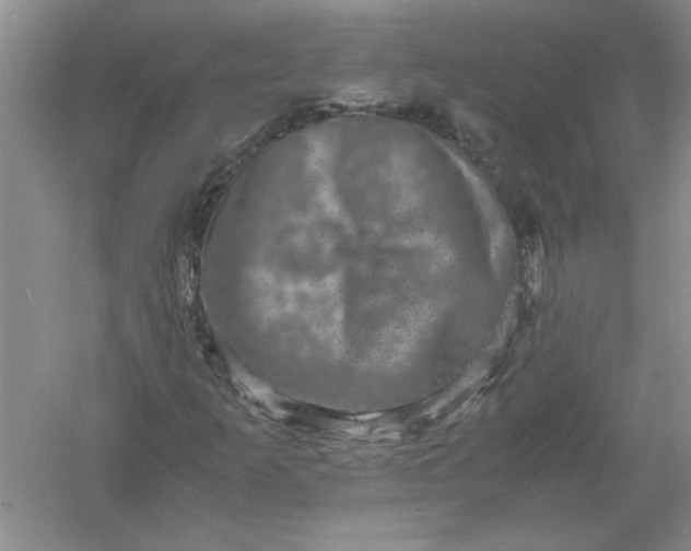 X0000061141253200512022238