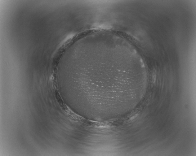 X0000061141254200512022238