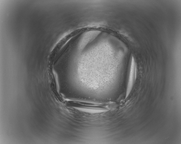 X0000061141256200512022238