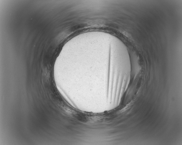 X0000061141257200512022238