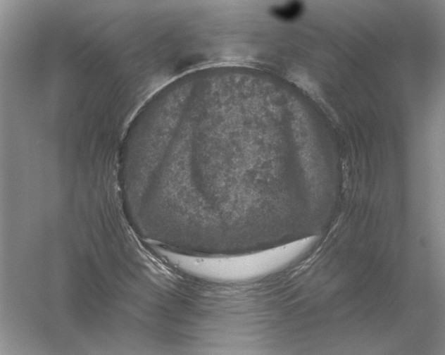 X0000061141260200512022238