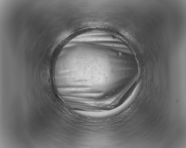 X0000061141261200512022238