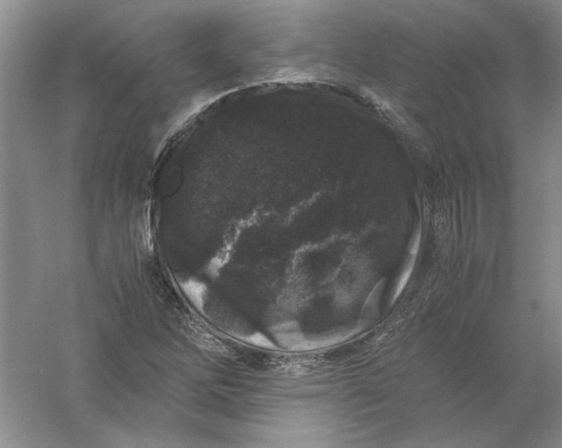 X0000061141262200512022237