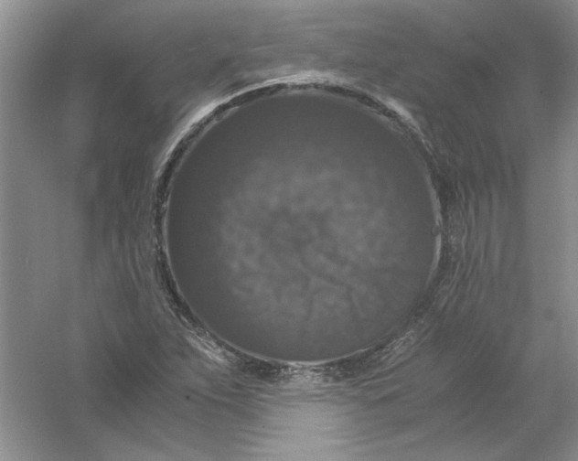 X0000061141263200512022237