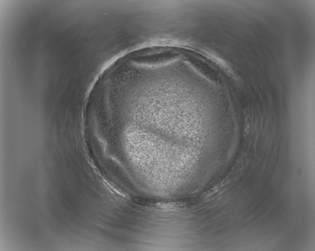 X0000061141264200512022237