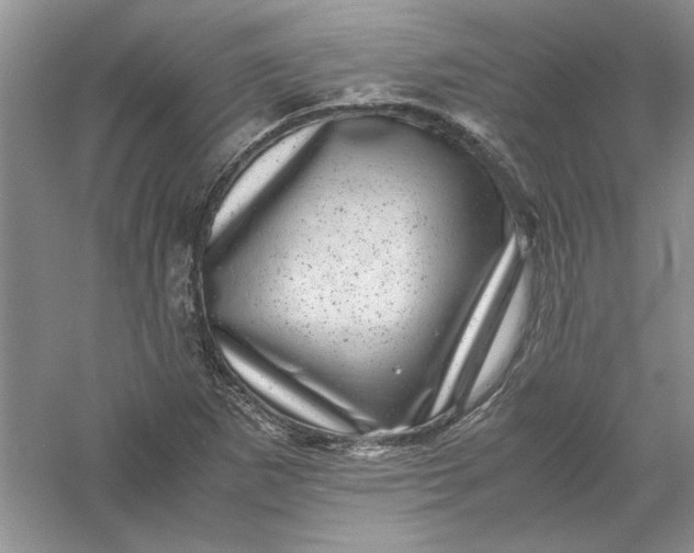 X0000061141265200512022237