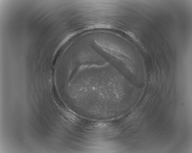 X0000061141266200512022237