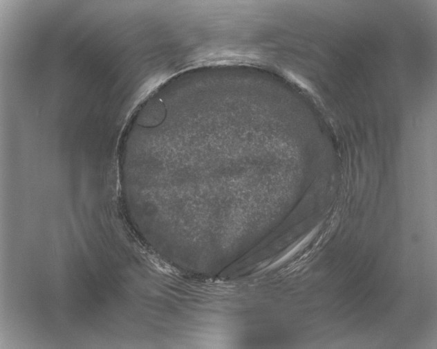 X0000061141267200512022237