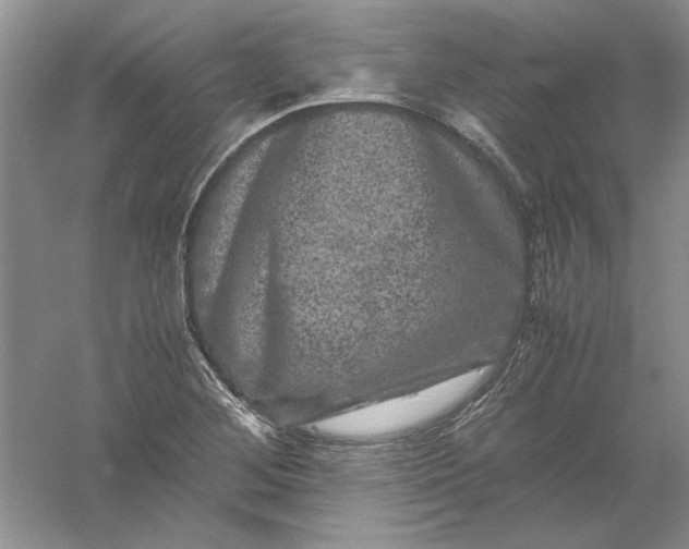 X0000061141268200512022237