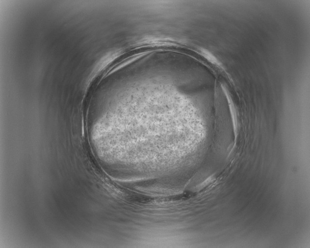 X0000061141269200512022237