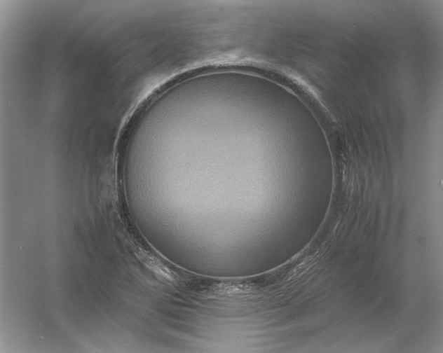 X0000061141270200512022237