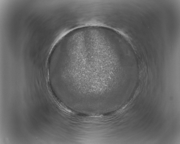 X0000061141271200512022237