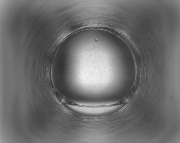 X0000061141273200512022237