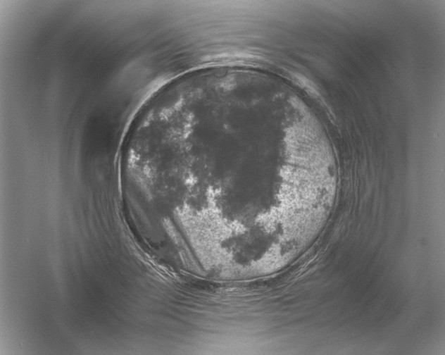 X0000061141275200512022237