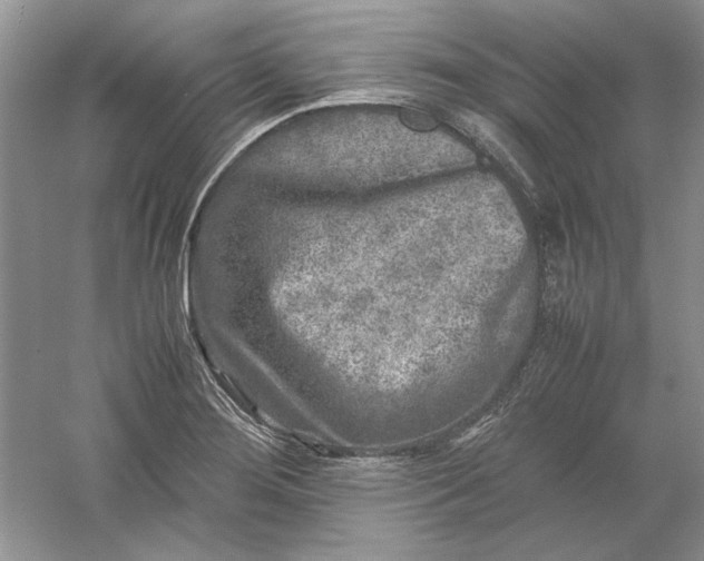 X0000061141276200512022237