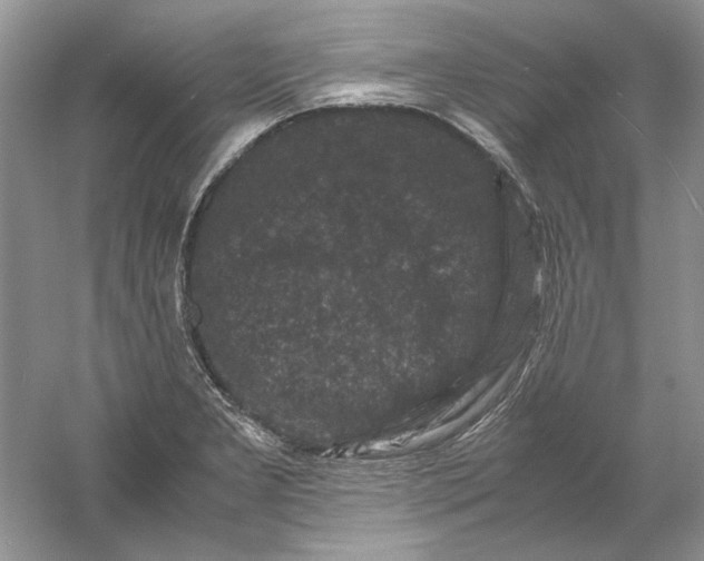 X0000061141277200512022237