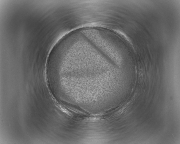 X0000061141278200512022237