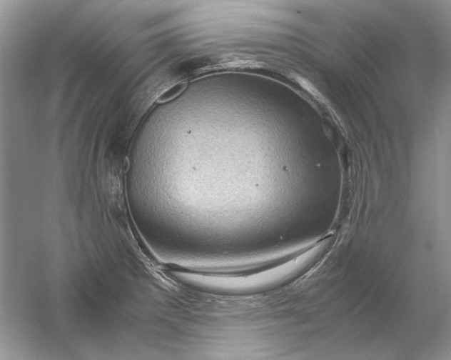 X0000061141281200512022237