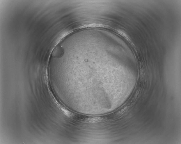 X0000061141282200512022237