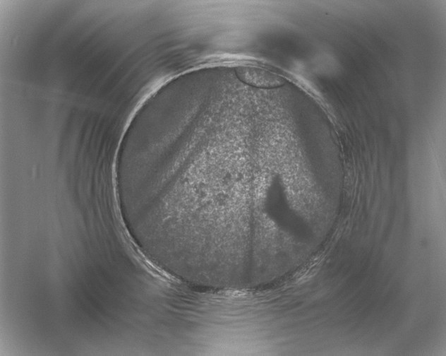 X0000061141283200512022237