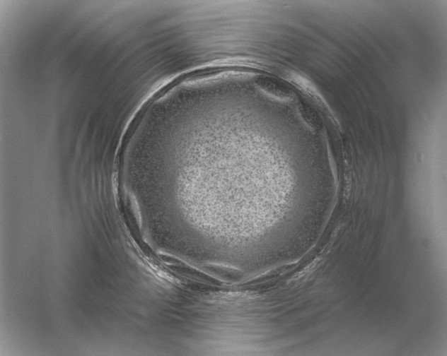 X0000061141284200512022237