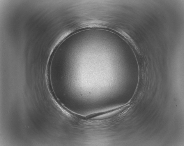 X0000061141285200512022237