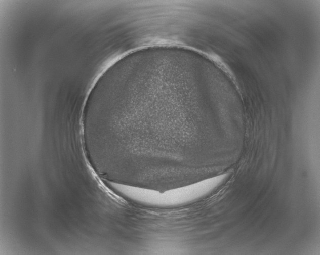 X0000061141287200512022237