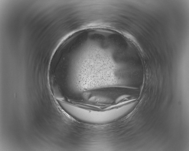 X0000061141288200512022237