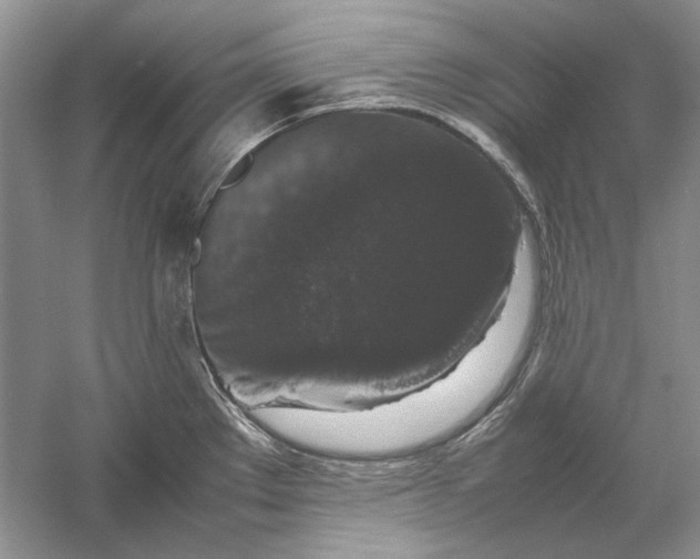 X0000061141289200512022237