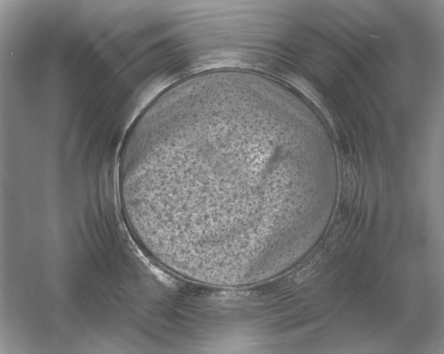 X0000061141290200512022237