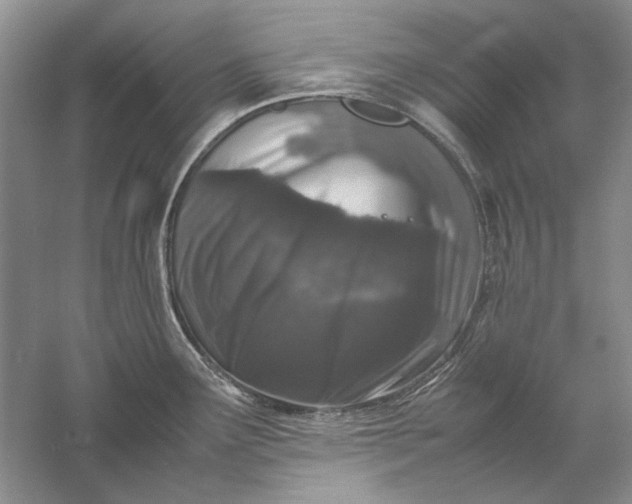 X0000061141291200512022237