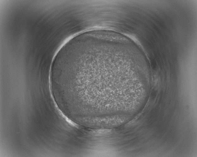 X0000061141294200512022237