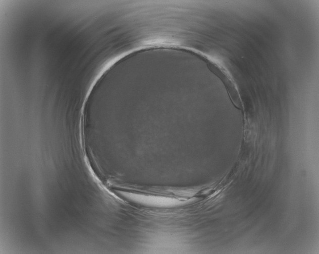 X0000061141295200512022237