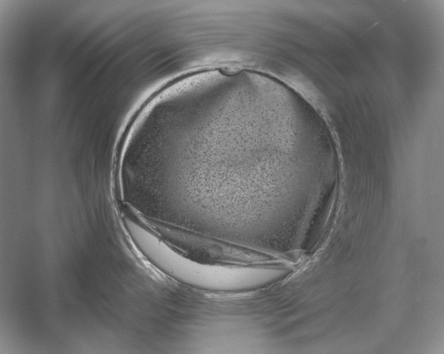 X0000061141296200512022237