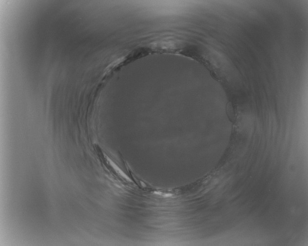 X0000061141297200512022236