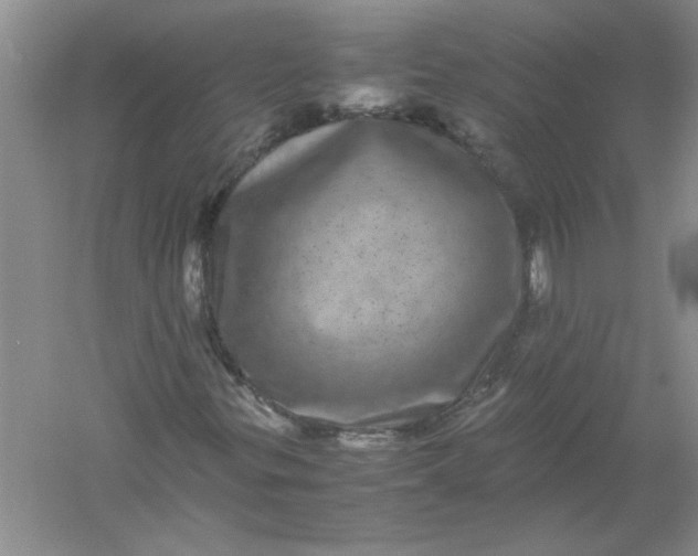 X0000061141299200512022236