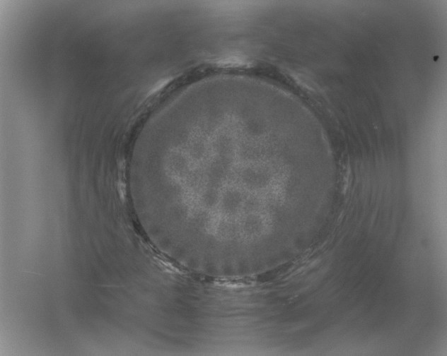 X0000061141301200512022236