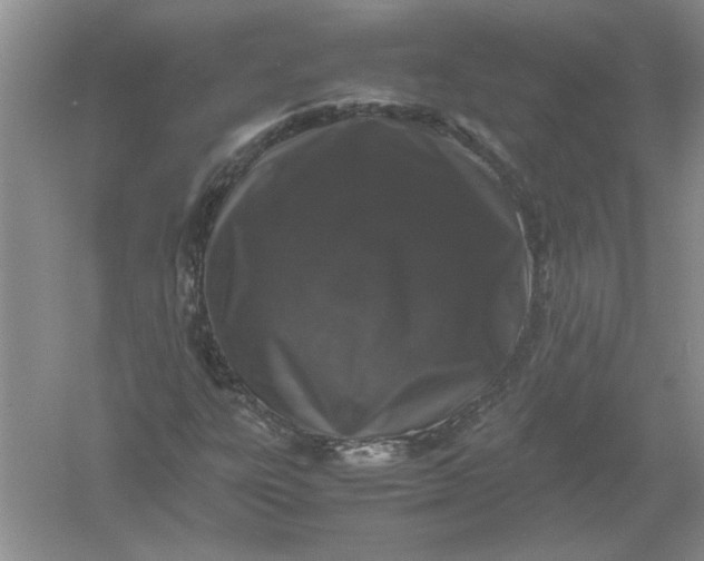 X0000061141303200512022236