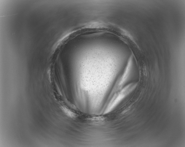 X0000061141304200512022236