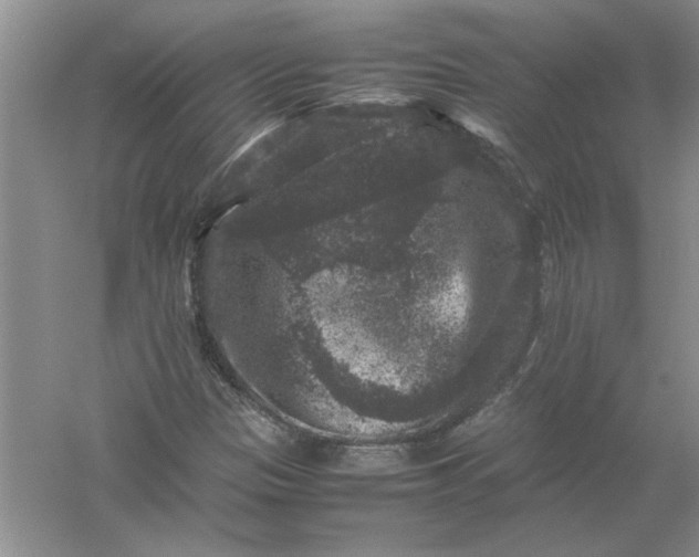 X0000061141305200512022236