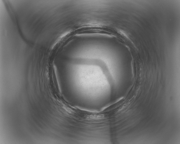 X0000061141307200512022236