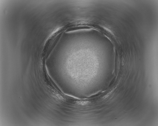 X0000061141309200512022236